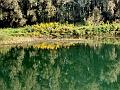 adda (112)